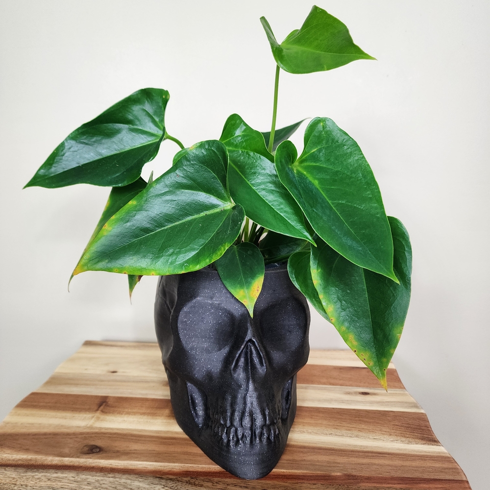 3D Print Gothic Skull Planter Vase Halloween Decor Candy Bowl Coffee Pod Holder